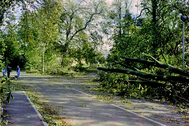 Stormschade in Chelmsford - Robin Webster