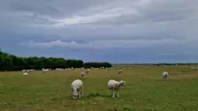 Winderig en regenachtig, vanochtend op Texel - Frans Alderse Baas