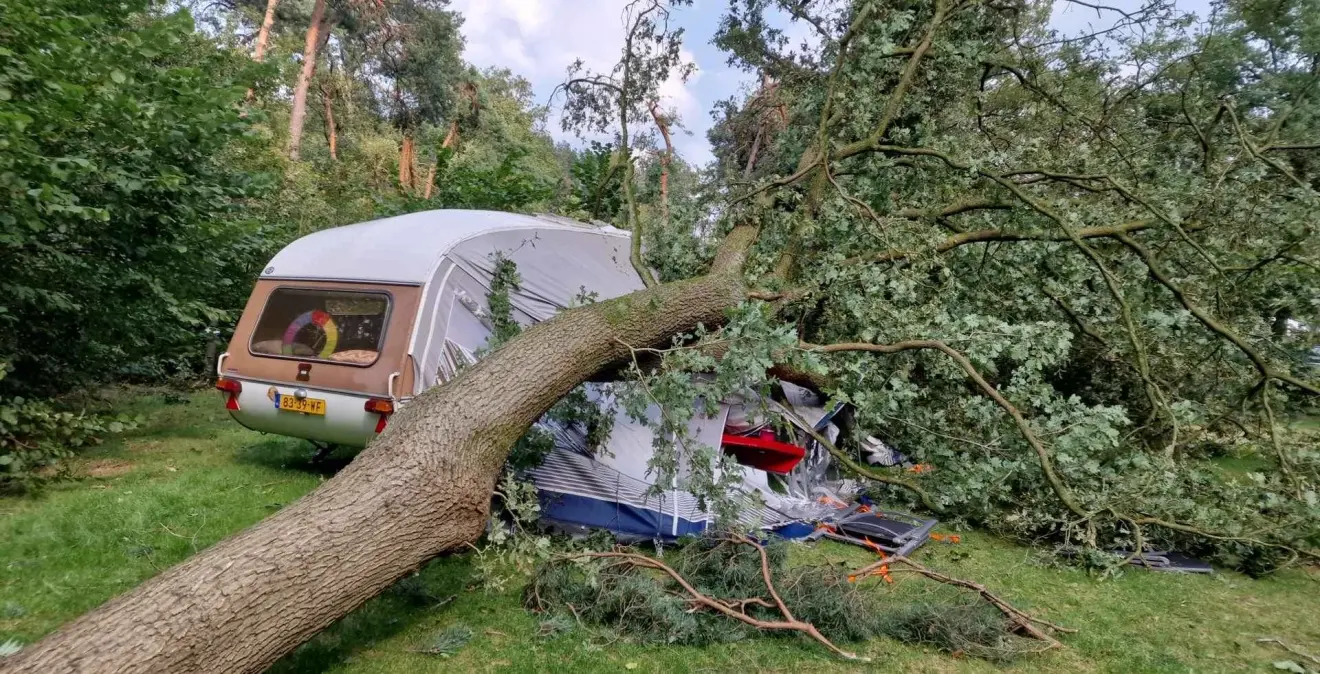 Een boom is op de voortent van een caravan op boscamping Zwanemeer in Gieten gevallen - Giada de Koning