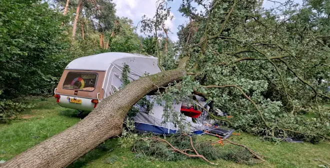 Een boom is op de voortent van een caravan op boscamping Zwanemeer in Gieten gevallen - Giada de Koning