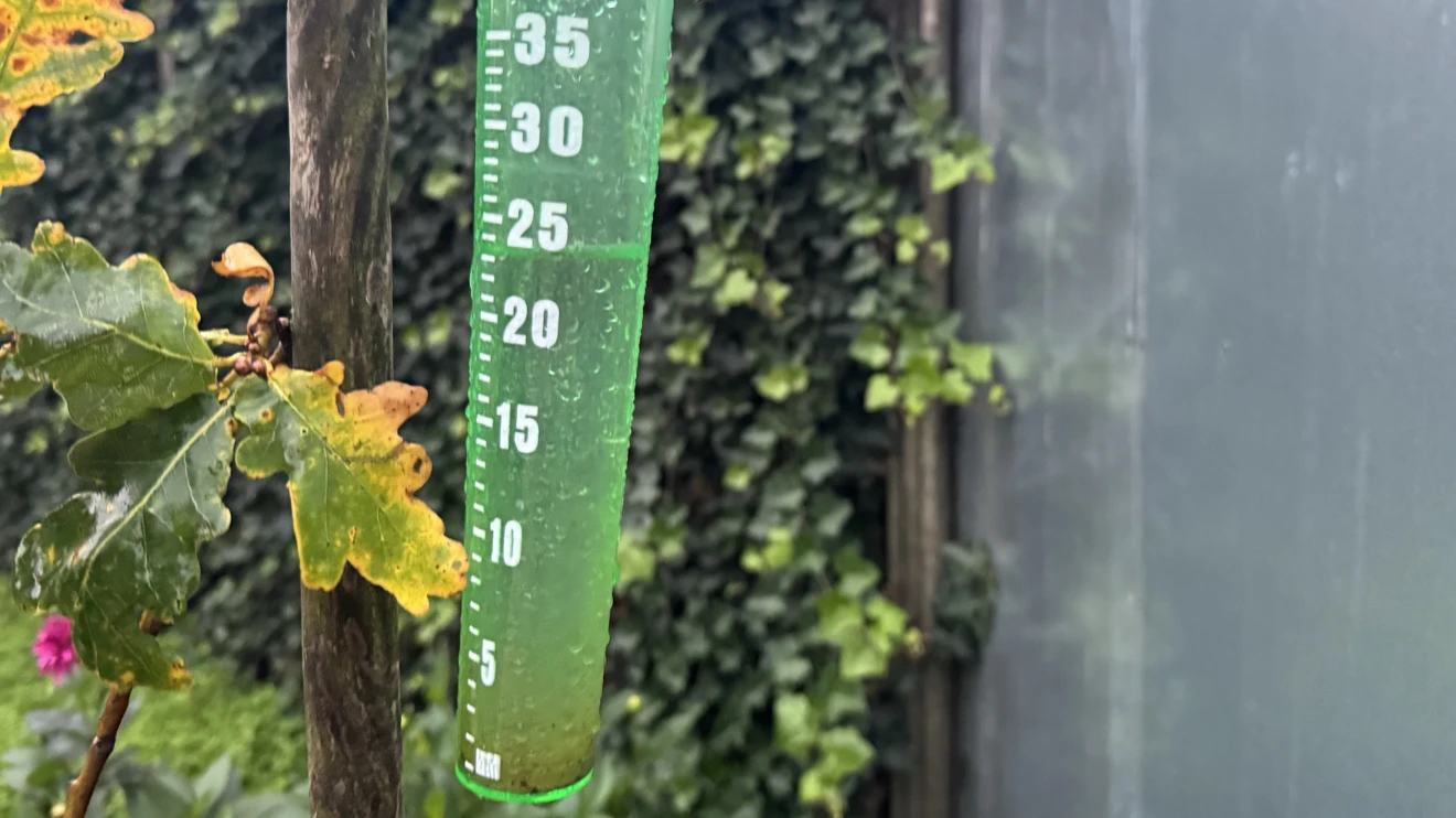 In delen van het land is vrijdag erg veel regen gevallen - Jolanda Bakker