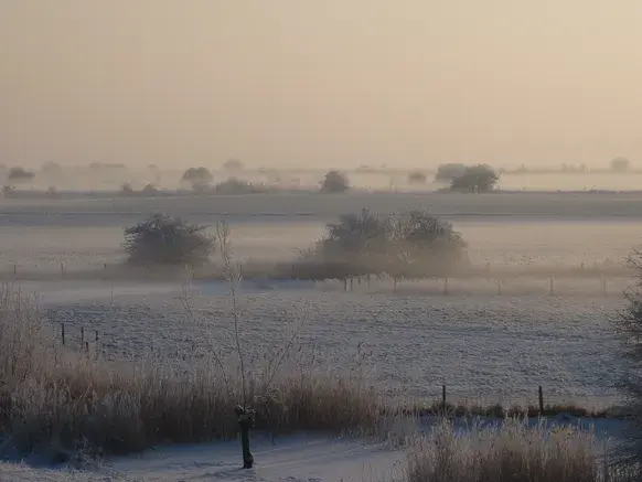 IJsmist, vlak boven de grond in de Ooijpolder, in de ochtend van 4 februari 2012 - Reinout van den Born