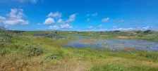 Water in de duinen