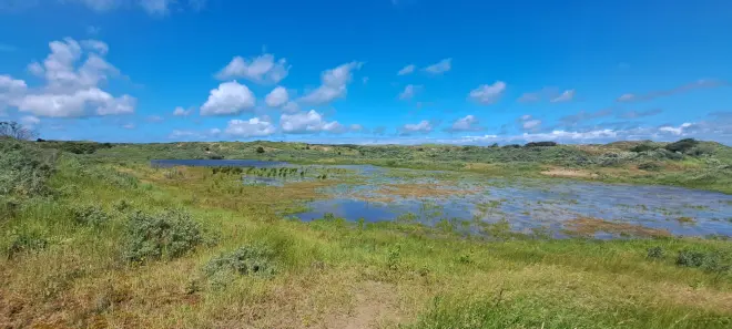 Water in de duinen bij Katwijk - Grieta Spannenburg