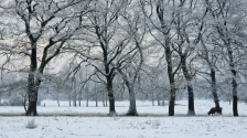 Sneeuw 30 november voor bij verhaal 24 oktober