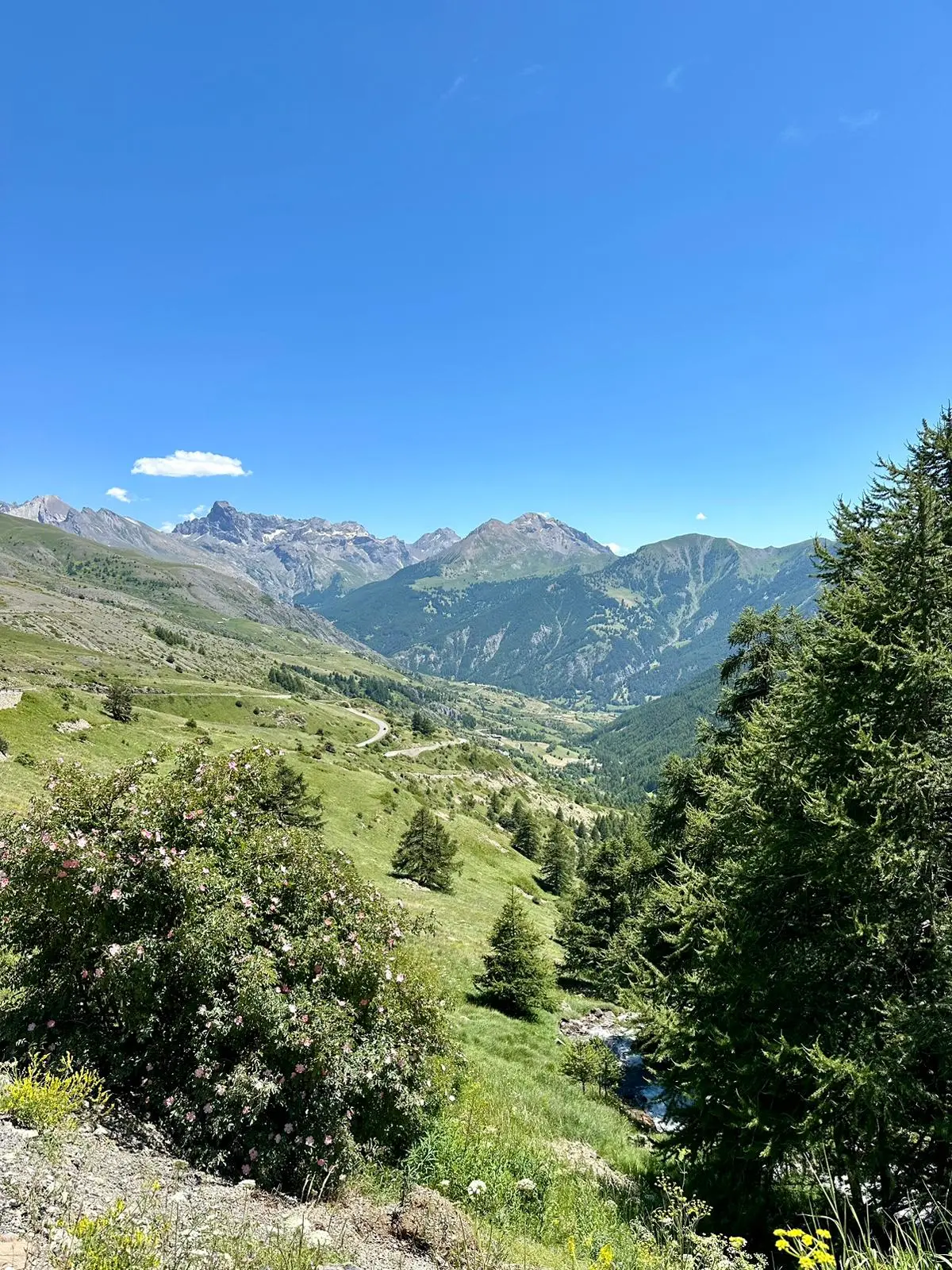 De Alpen in het zuidoosten van Frankrijk worden de komende dagen erg warm - Tycho van den Born