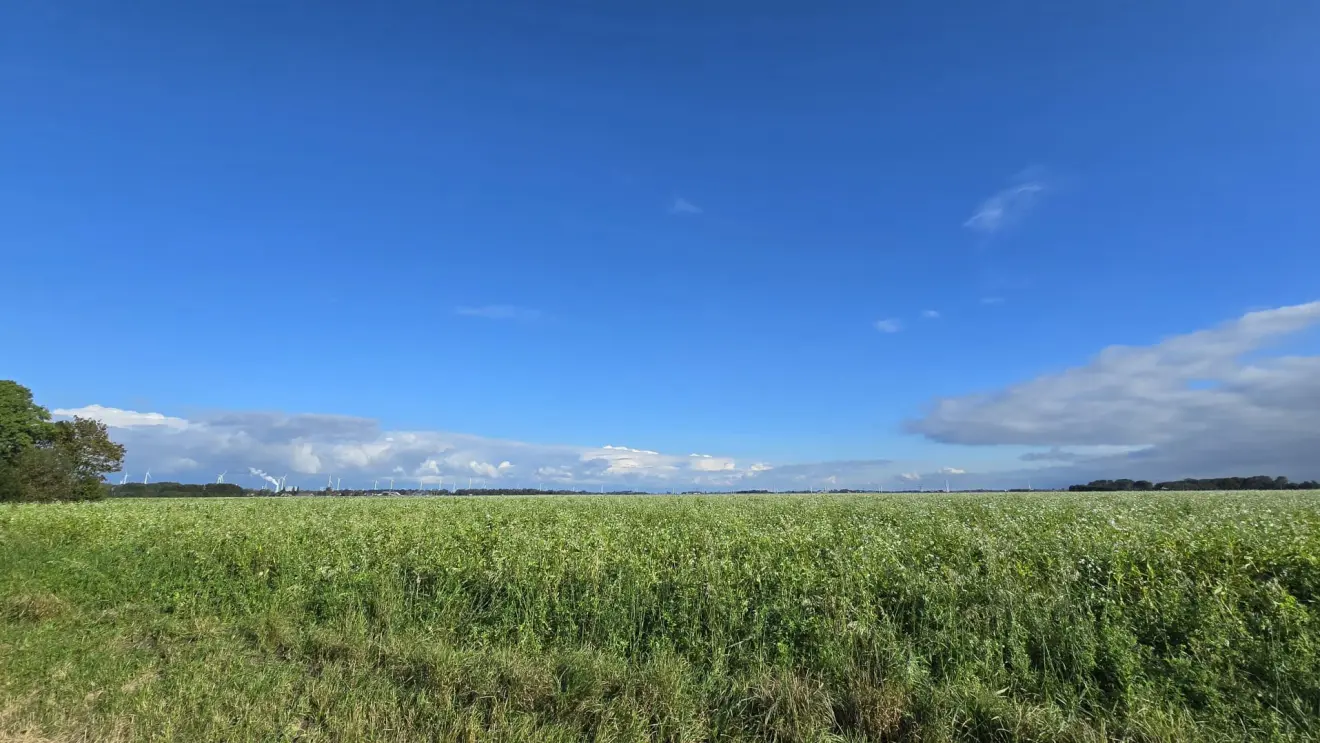 In het noordoosten van Groningen was het, terwijl het op andere plaatsen regende, gisteren lange tijd mooi weer. De komende dagen krijgen we dat op meer plaatsen - Jannes Wiersema