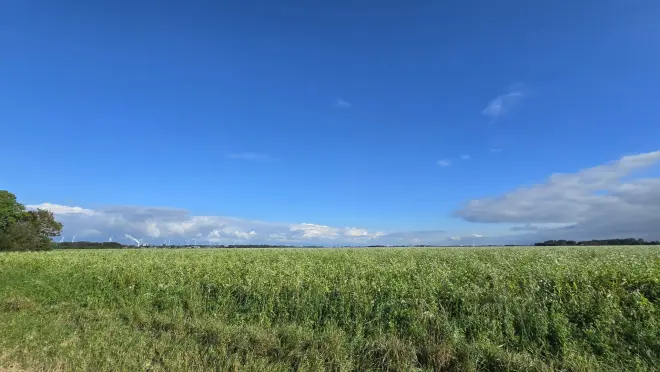 In het noordoosten van Groningen was het, terwijl het op andere plaatsen regende, gisteren lange tijd mooi weer. De komende dagen krijgen we dat op meer plaatsen - Jannes Wiersema