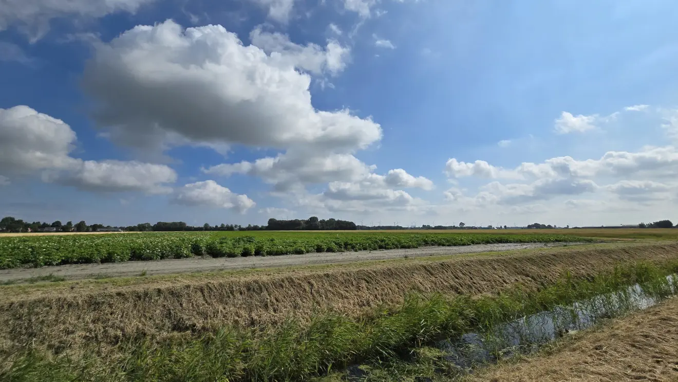 Stapelwolken boven het Groningse land - Jannes Wiersema