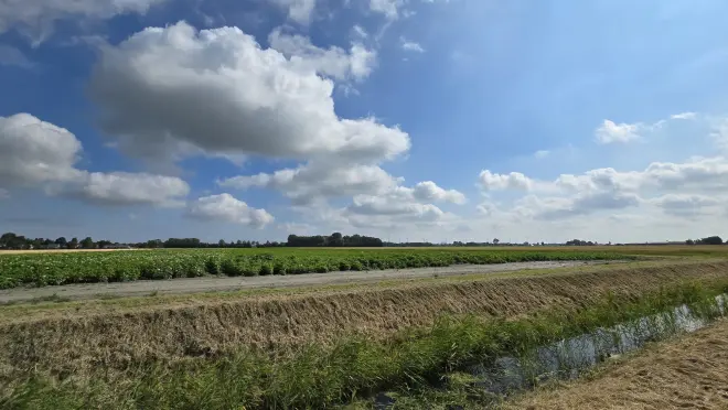 Stapelwolken boven het Groningse land - Jannes Wiersema