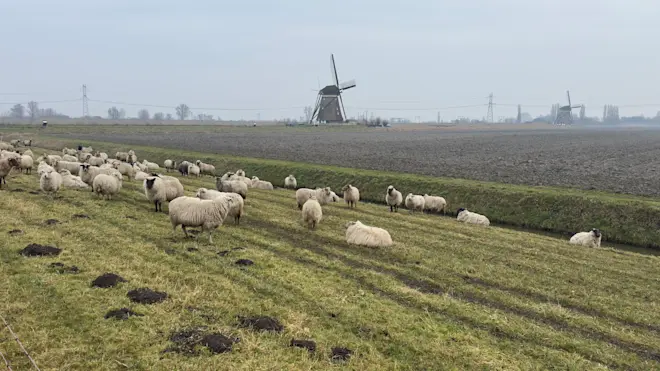 De winterjas kan morgen weer uit - Jolanda Bakker