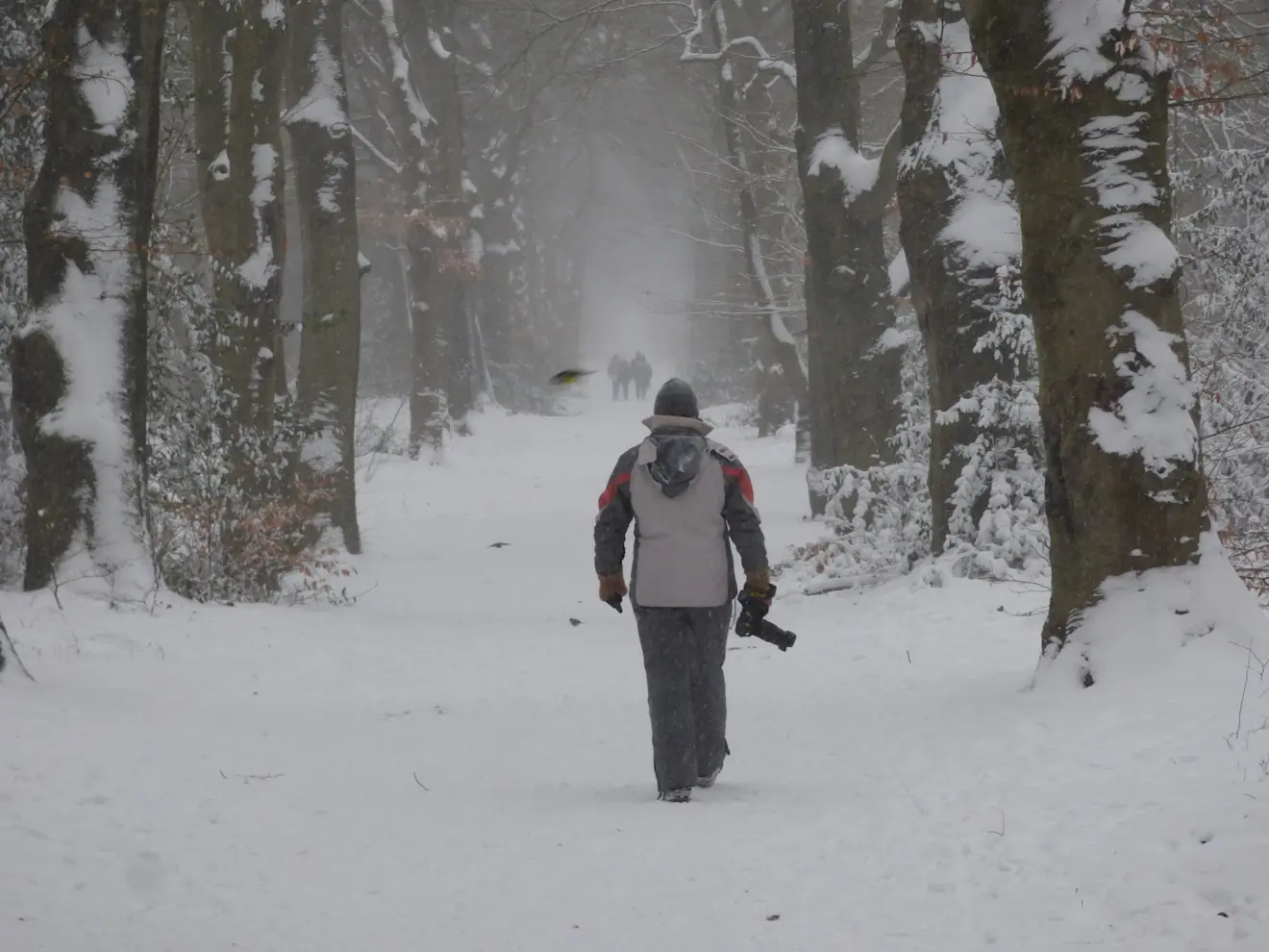 Vier jaar geleden lukte het de oostenwind wel om de winter naar Nederland te brengen - Chris Meewis