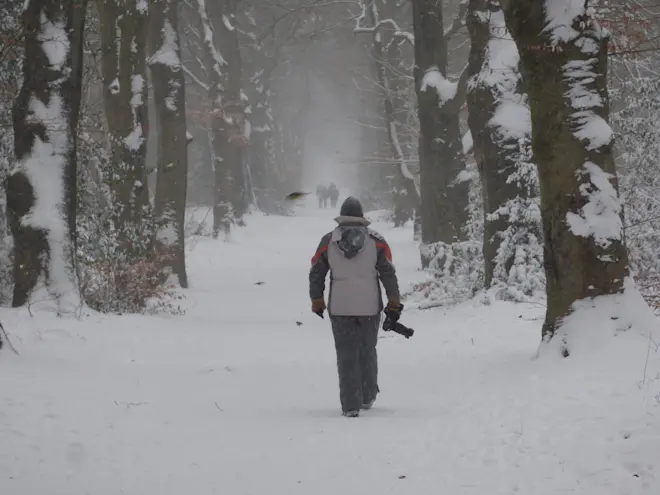 Vier jaar geleden lukte het de oostenwind wel om de winter naar Nederland te brengen - Chris Meewis