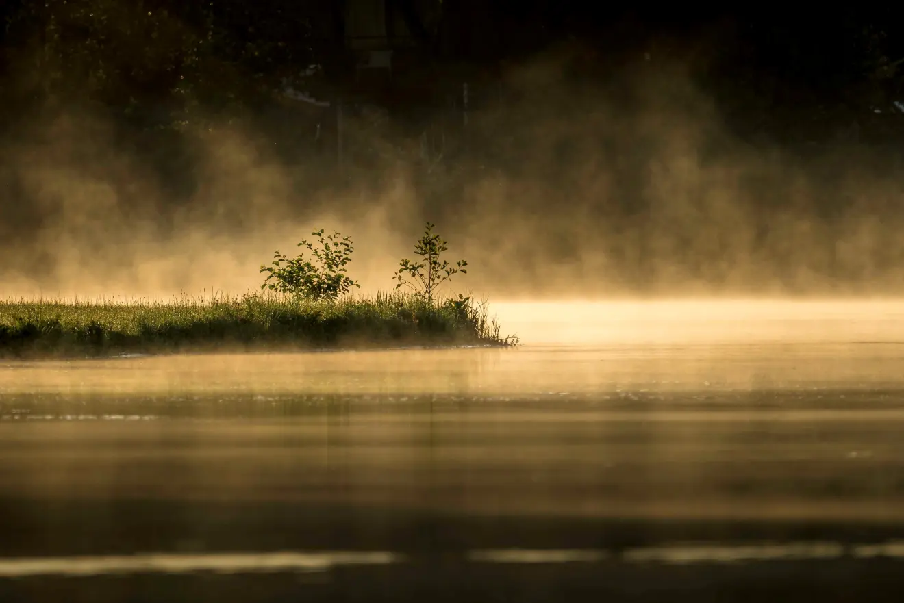 Arctische zeerook boven het water, tijdens de koude start van de dag in Leerdam - John Oomen