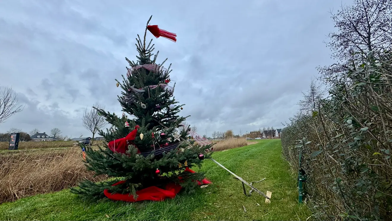 Het worden grijze en zachte kerstdagen - Jolanda Bakker