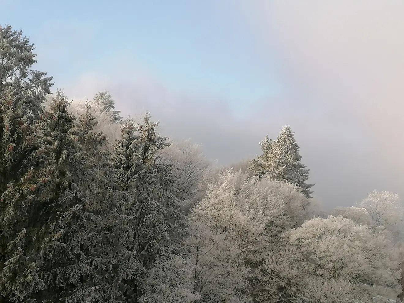 Winterwonderland op de Vaalserberg - Carlos Sour