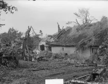 Windhoos op de veluwe, Bestanddeelnr 904-1487 Jac de Nijs