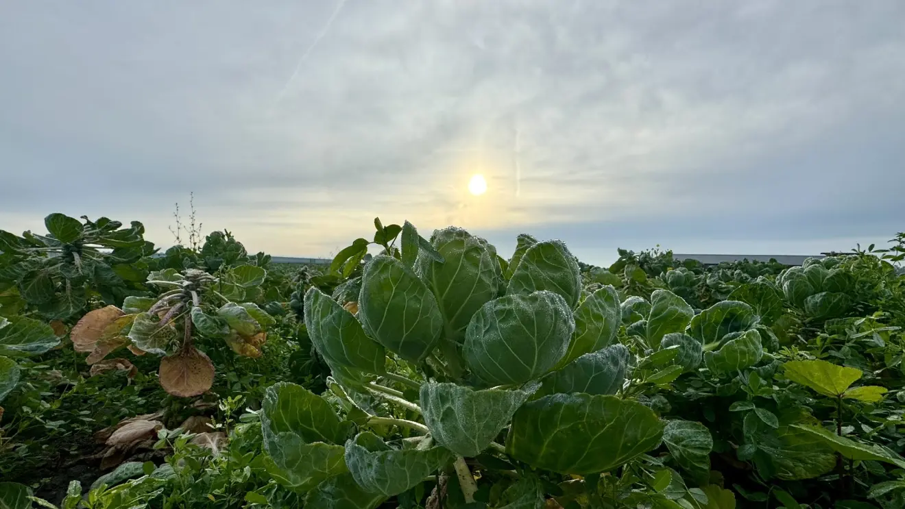 Hoog in de lucht was ook meteen hoge bewolking zichtbaar - Jolanda Bakker.