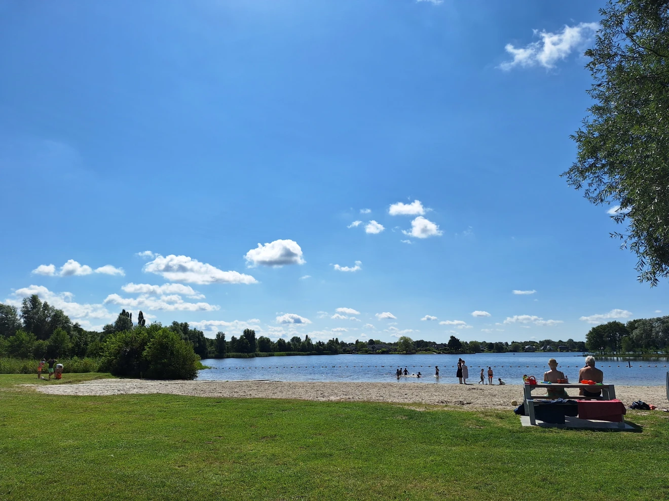 Zomer in Friesland - Tjitske Wiebenga