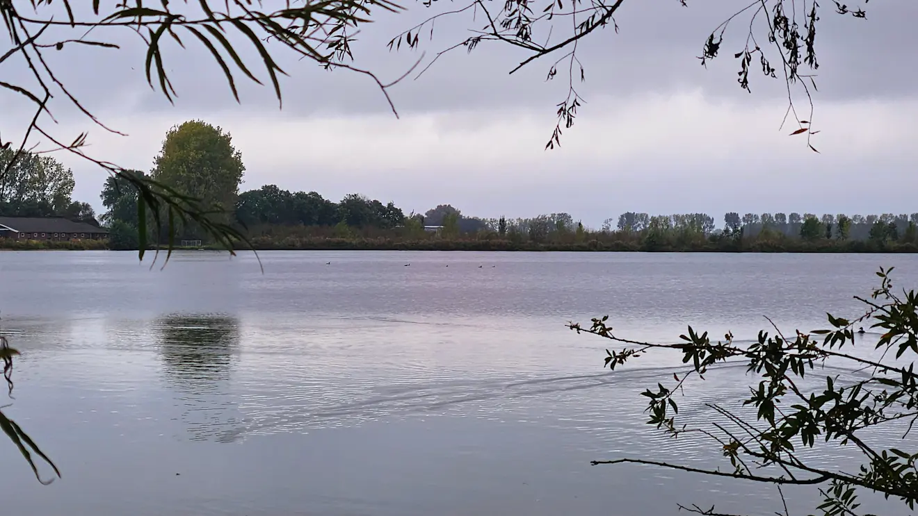 Herfst in Beusichem - Nely van Frankenhuyzen