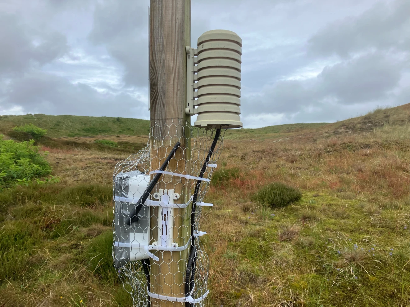 Datalogger met externe antenne, met kippengaas beschermd tegen dieren - Pieter Bliek