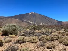 Pieter El Teide Tenerife