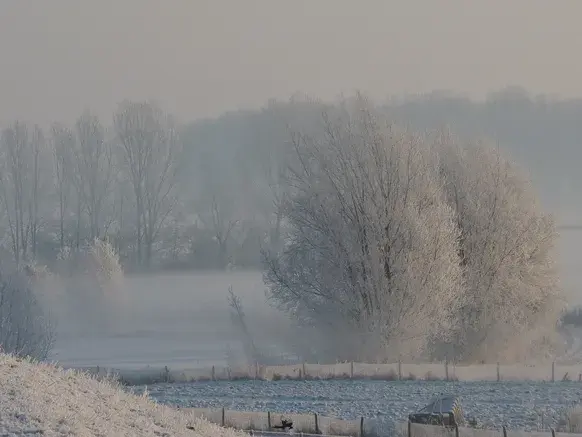 IJsmist boven de Ooijpolder bij Nijmegen, in de ochtend van 4 februari 2012 - Reinout van den Born