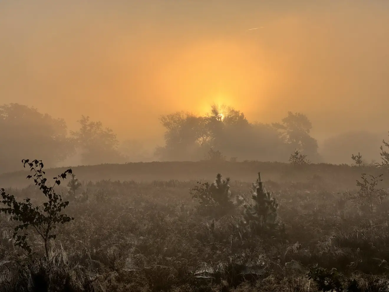 Nog zo'n mooi begin van de herfst - John Oomen