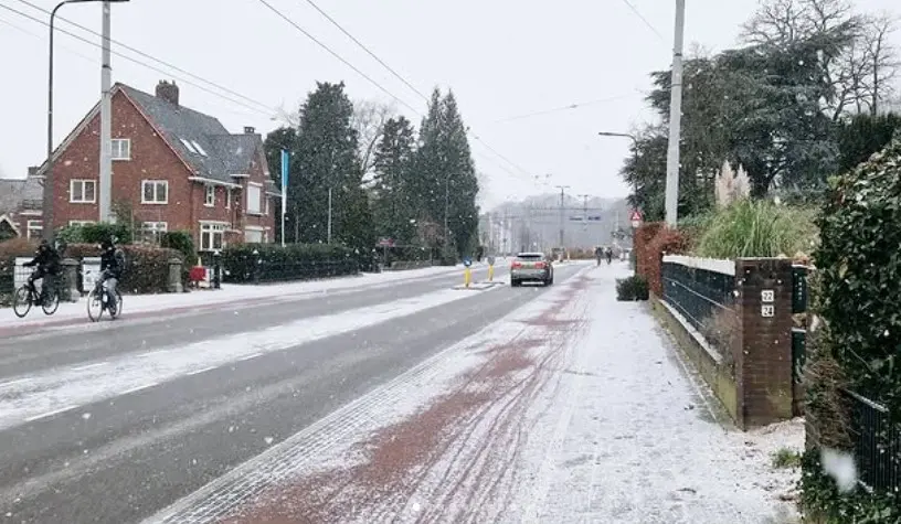 Een beetje sneeuw in januari - Reinout van den Born