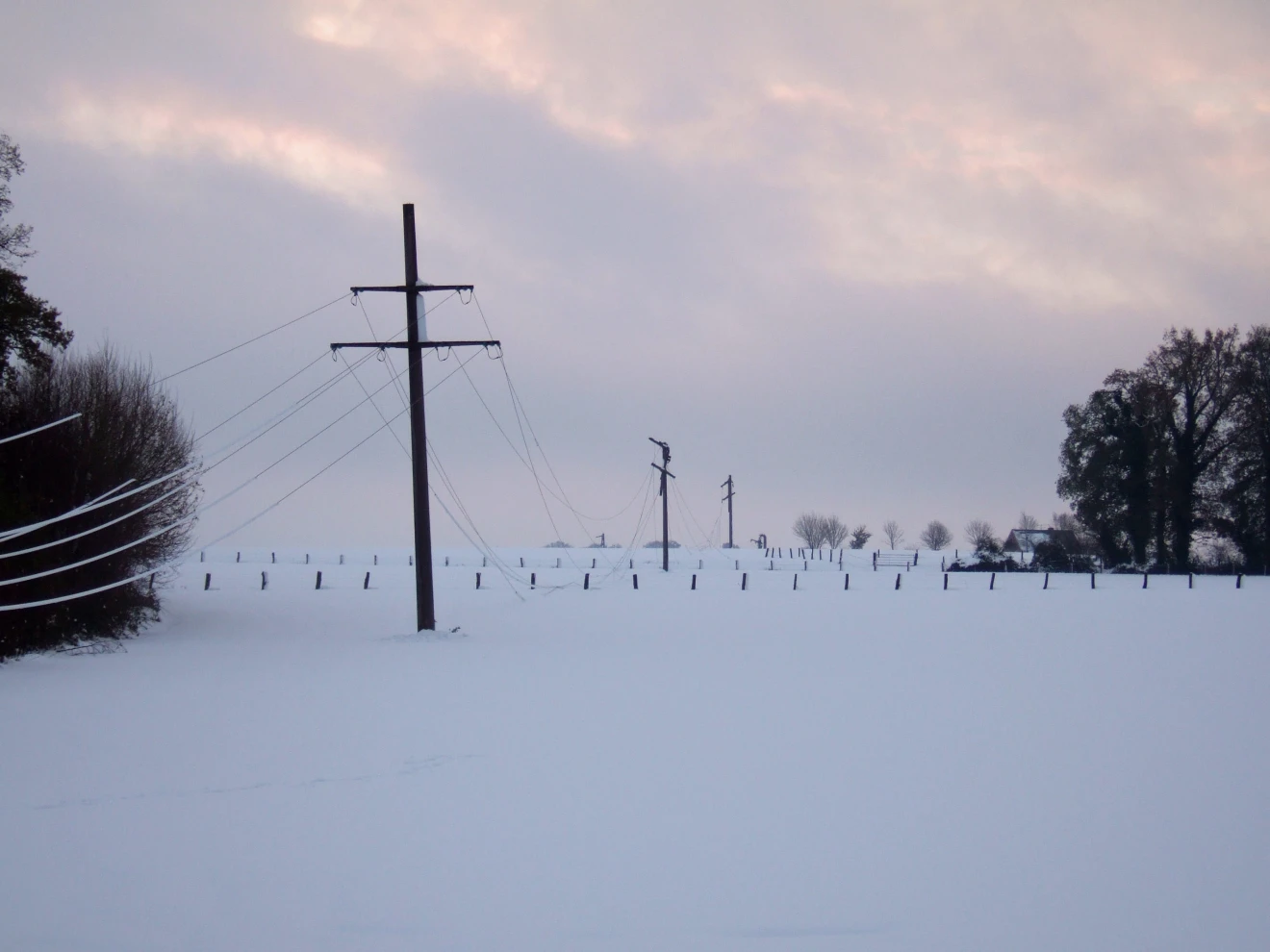 Sneeuw in het Münsterland, na de sneeuwstorm van 25 november 2005 - Wikipedia