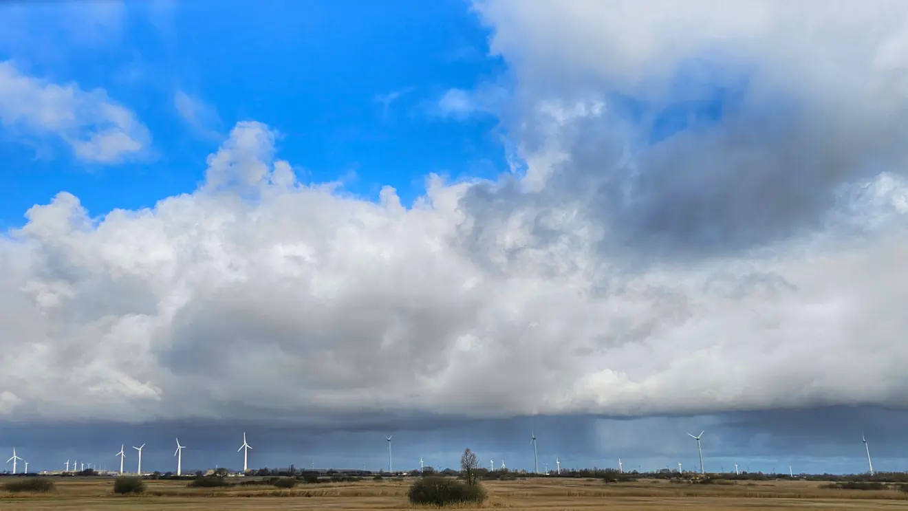 Buitjes boven Flevoland - Jannine Sanders-Kroeze