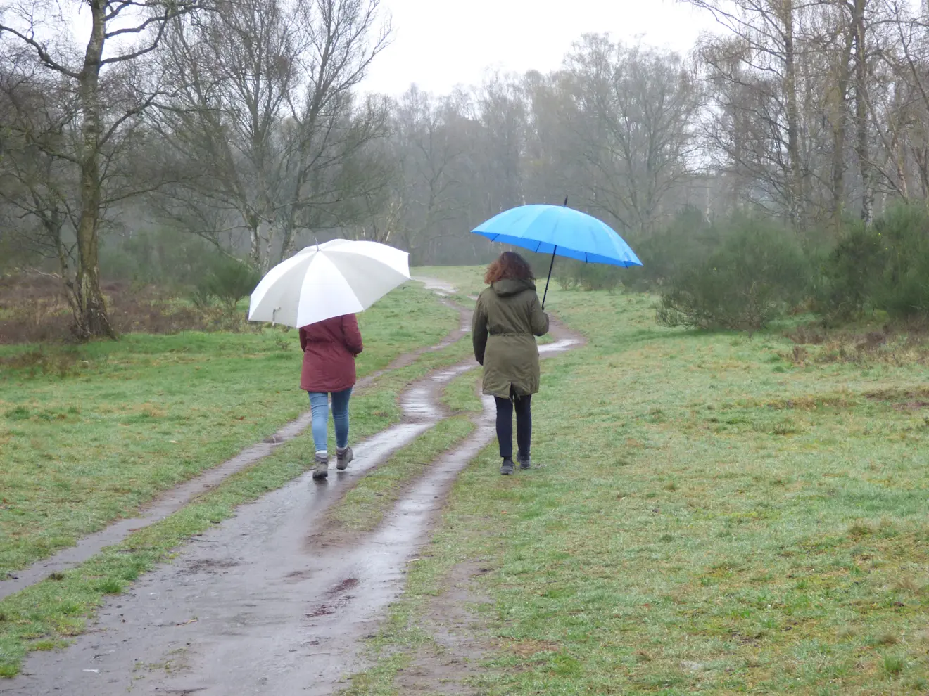 Regen in de buurt van Hilversum - Chris Meewis