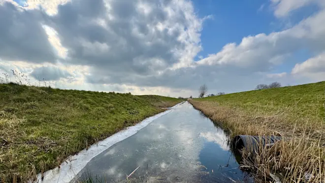 De eerste dagen is het nog koud, daarna lonkt de lente - Jolanda Bakker