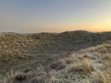 Een duinpan in de Schoorlse duinen, gistermorgen rond 8 uur - Pieter Bliek