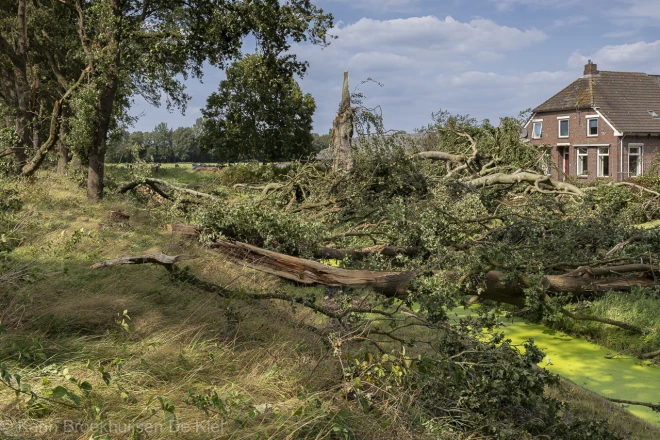 De schade voor het huis is enorm - Karin Broekhuijsen