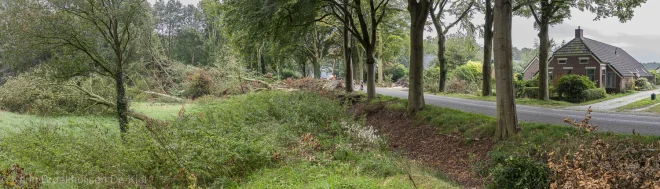 De schade in Kostvlies. Erg dikke bomen zijn hier omgewaaid. De huizen staan nog - Karin Broekhuijsen