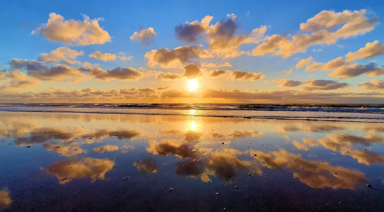 Prachtige beelden van het strand - Ed van Pelt