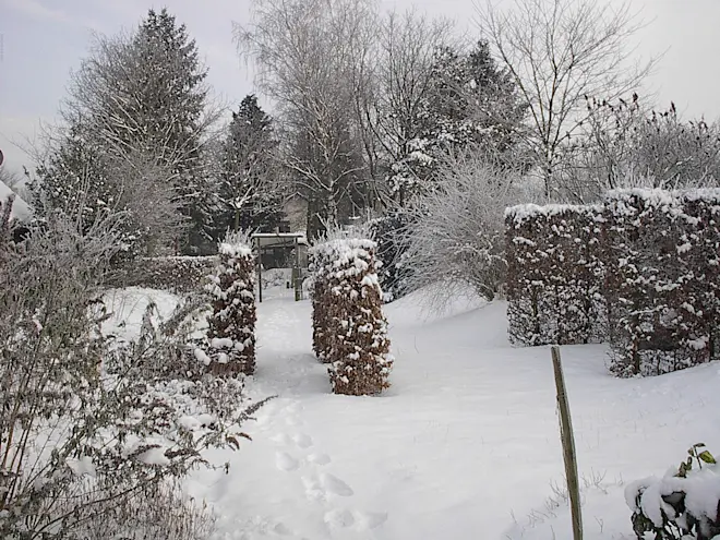 Tussen 10 en 15 centimeter sneeuw lagen in Garderen, op de Veluwe - Reinout van den Born