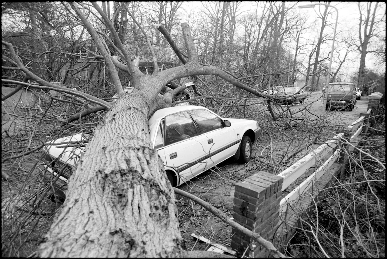 Stormschade in Haarlem - Fotopersbureau De Boer