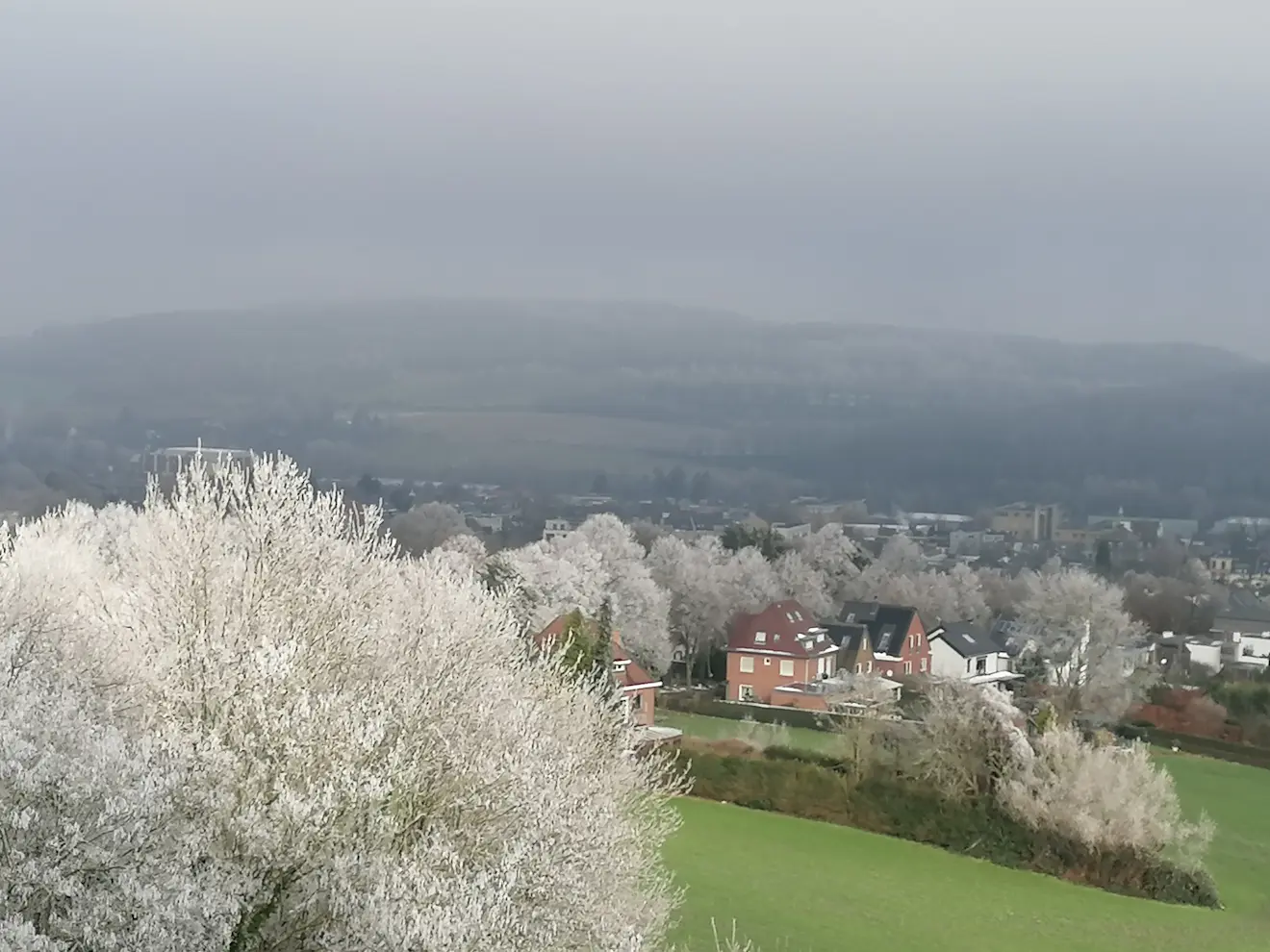 Hoe mooi kan rijp in de winter zijn, zoals hier in de buurt van Vaals - Carlos Sour