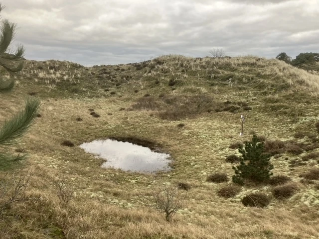 Duinpan met meertje