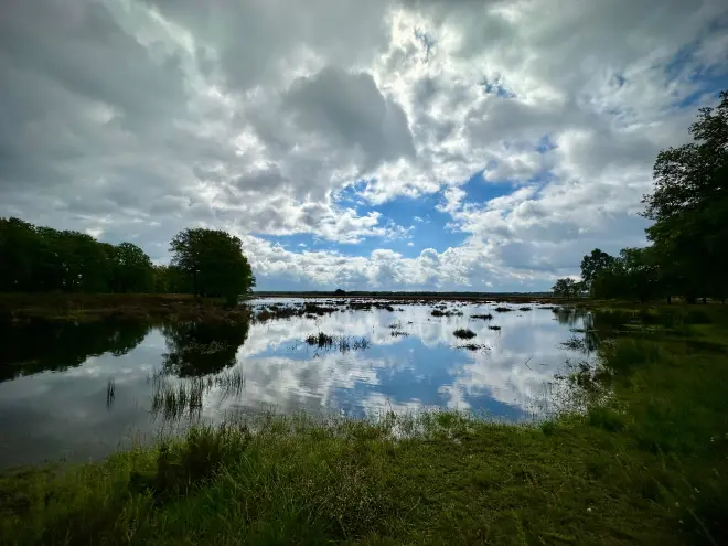 De omgeving van de Houtbeek in Stroe staat onder water - Tycho van den Born