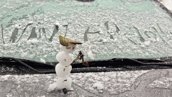 Dat er deze weel winterse buien zouden vallen, hadden we al een tijdje geleden voorzien - Nely van Frankenhuyzen