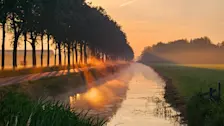 Prachtige start van de dag ion de buurt van Beusichem - Nely van Frankenhuyzen
