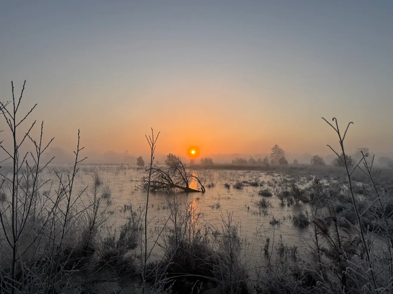 De zon komt op in een koude wereld - John Oomen