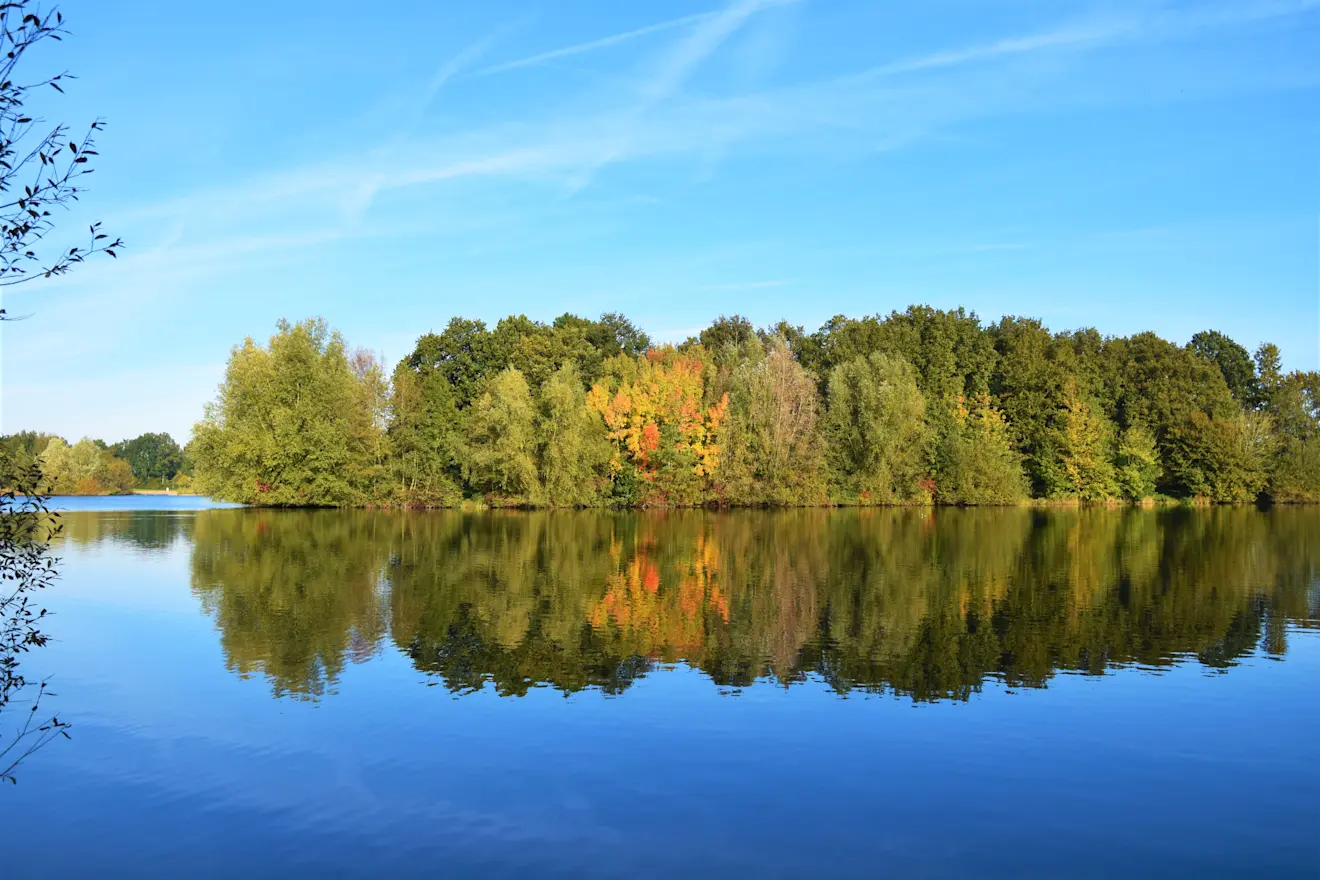 Kleurrijke herfstdagen liggen in het verschiet - Cynthia van Leusden