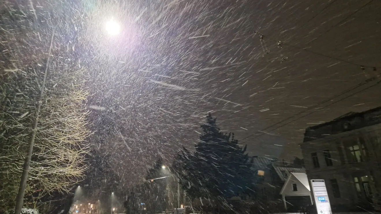 Het sneeuwt vroeg in de ochtend flink door - Reinout van den Born