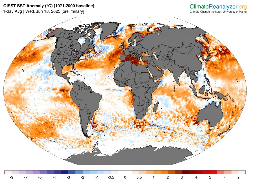 De afwijkingen van de zeewatertemperaturen, afgezet tegen de normaal uit de periode 1971 tot 2000. Ten opzichte van de huidige normaal (1991-2020) zijn die afwijkingen omlaag dus duidelijk groter, omhoog minder groot - Climate Reanalyzer