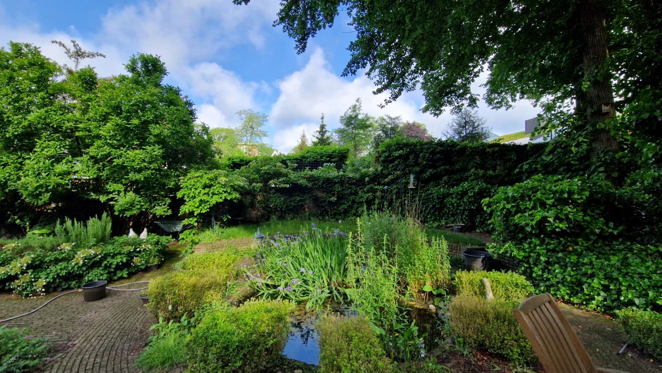 In de tuin heeft zich een groenexplosie afgespeeld. Foto: Reinout van den Born.