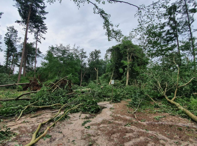 In het bos rond Leersum richtte de valwind grote schade aan - Reinout van den Born